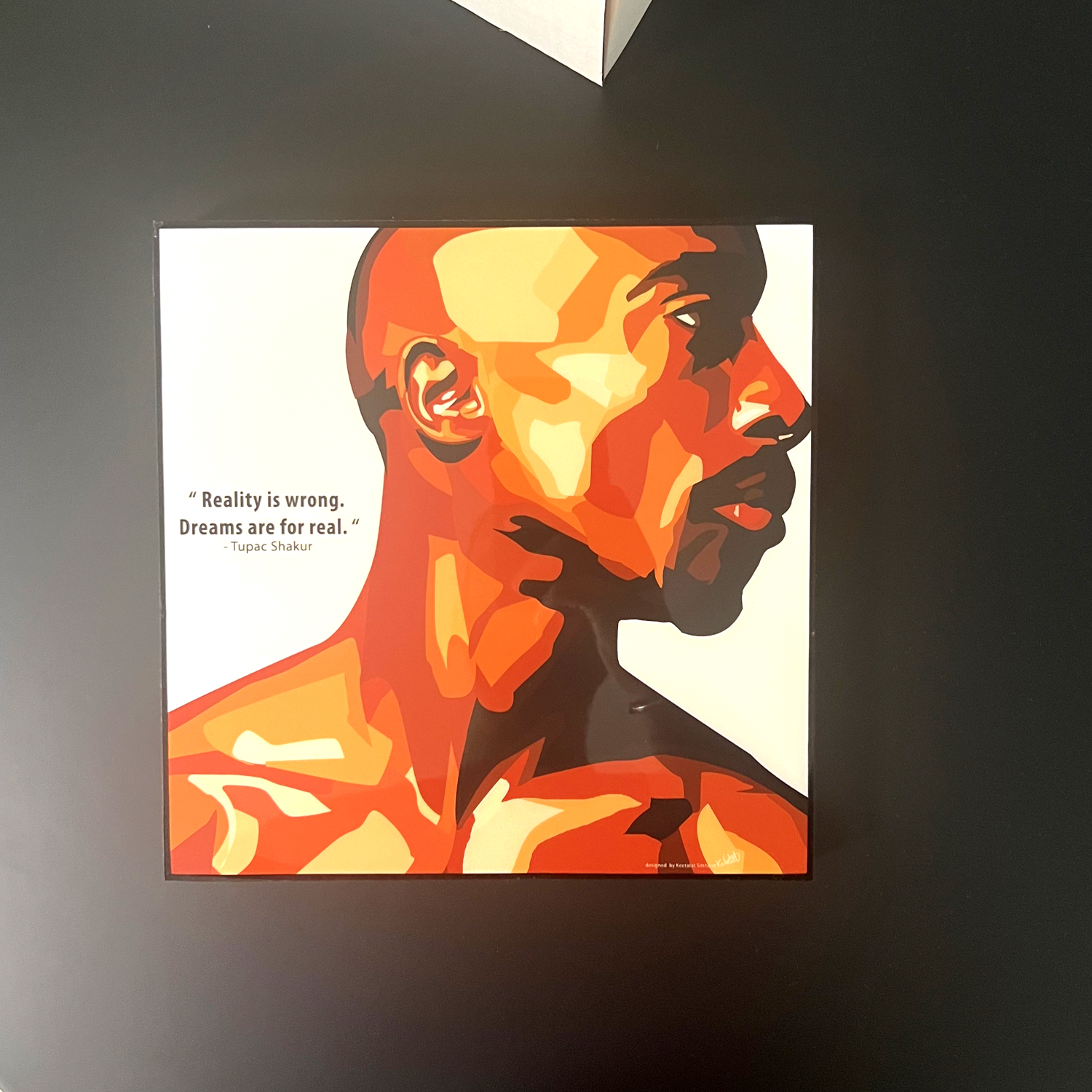 תמונה פוסטר פופ ארט תמונה לבית טופאק פופ ארט